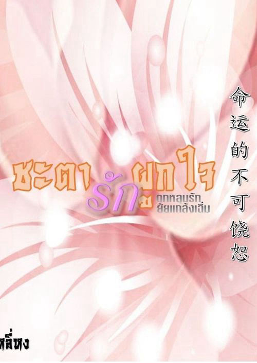 ชะตารักผูกใจ