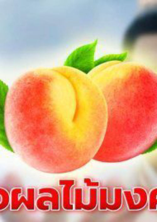 เคส Epub อัพไฟล์เอง   - Requested PDF"