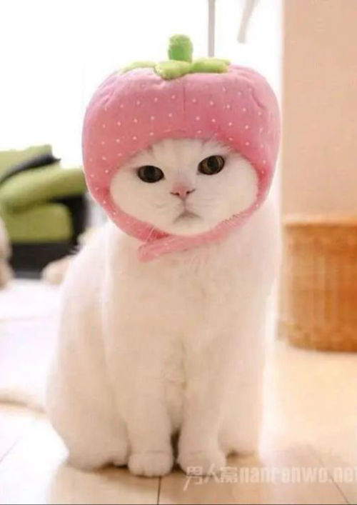 test สร้าง tag