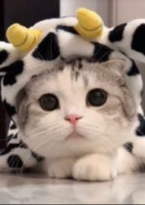 การ์ตูน02